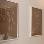 Milu Sebastiana * Kraków